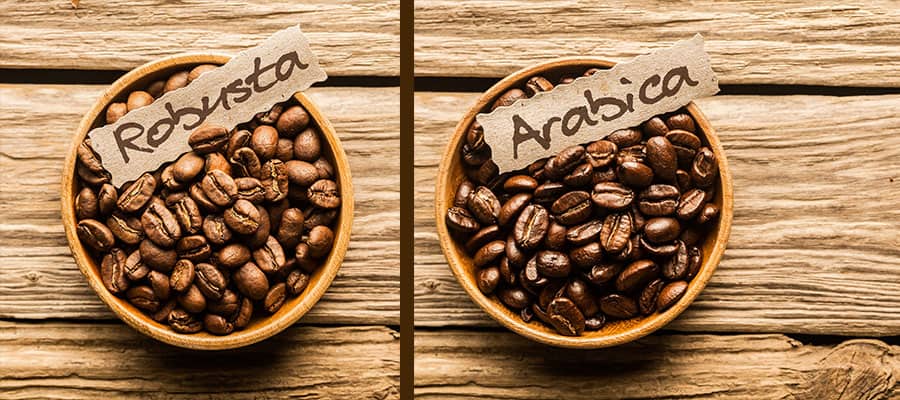 Detail Gambar Coffee Arabica Nomer 5