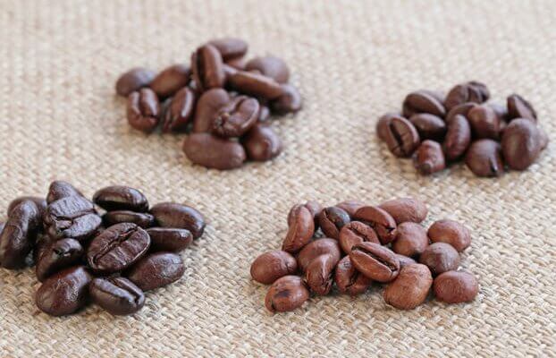 Detail Gambar Coffee Arabica Nomer 49