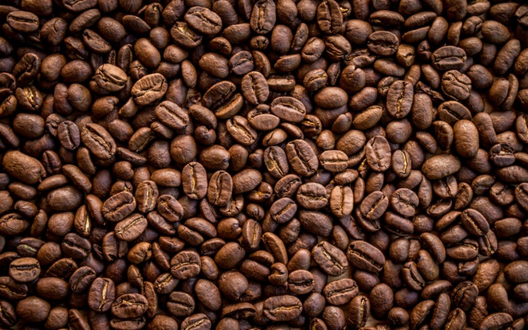 Detail Gambar Coffee Bean Nomer 11