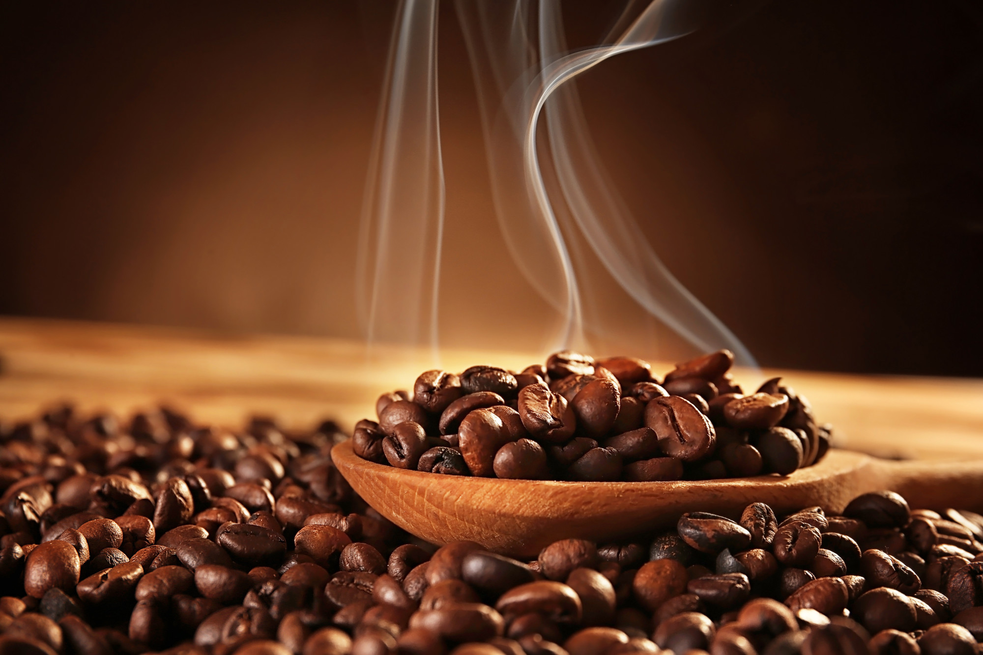 Download Gambar Coffee Bean Nomer 22