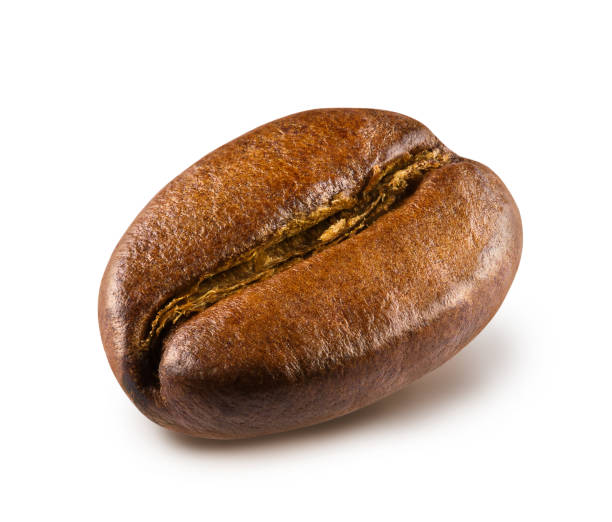 Detail Gambar Coffee Bean Nomer 52