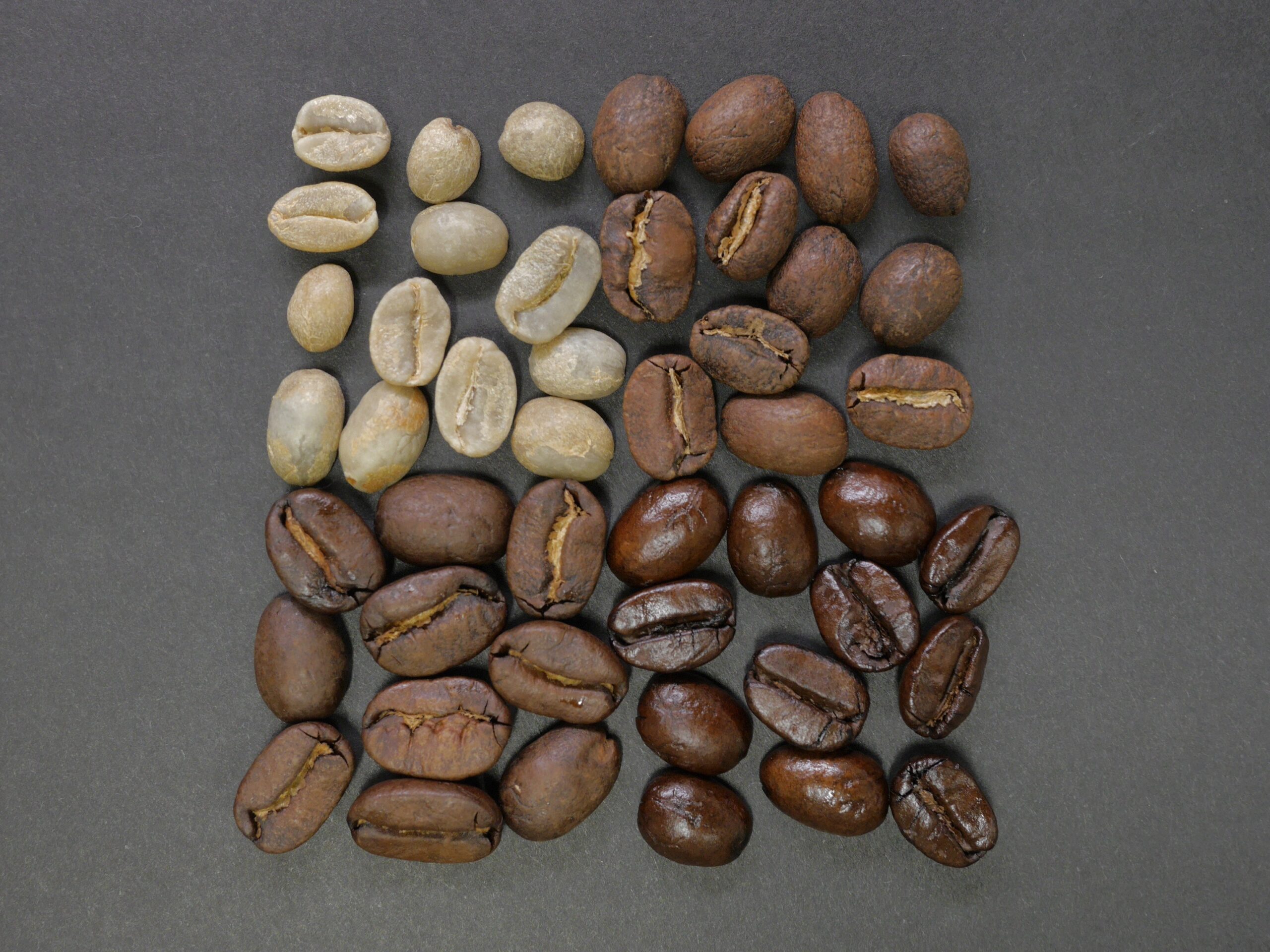Detail Gambar Coffee Bean Nomer 55