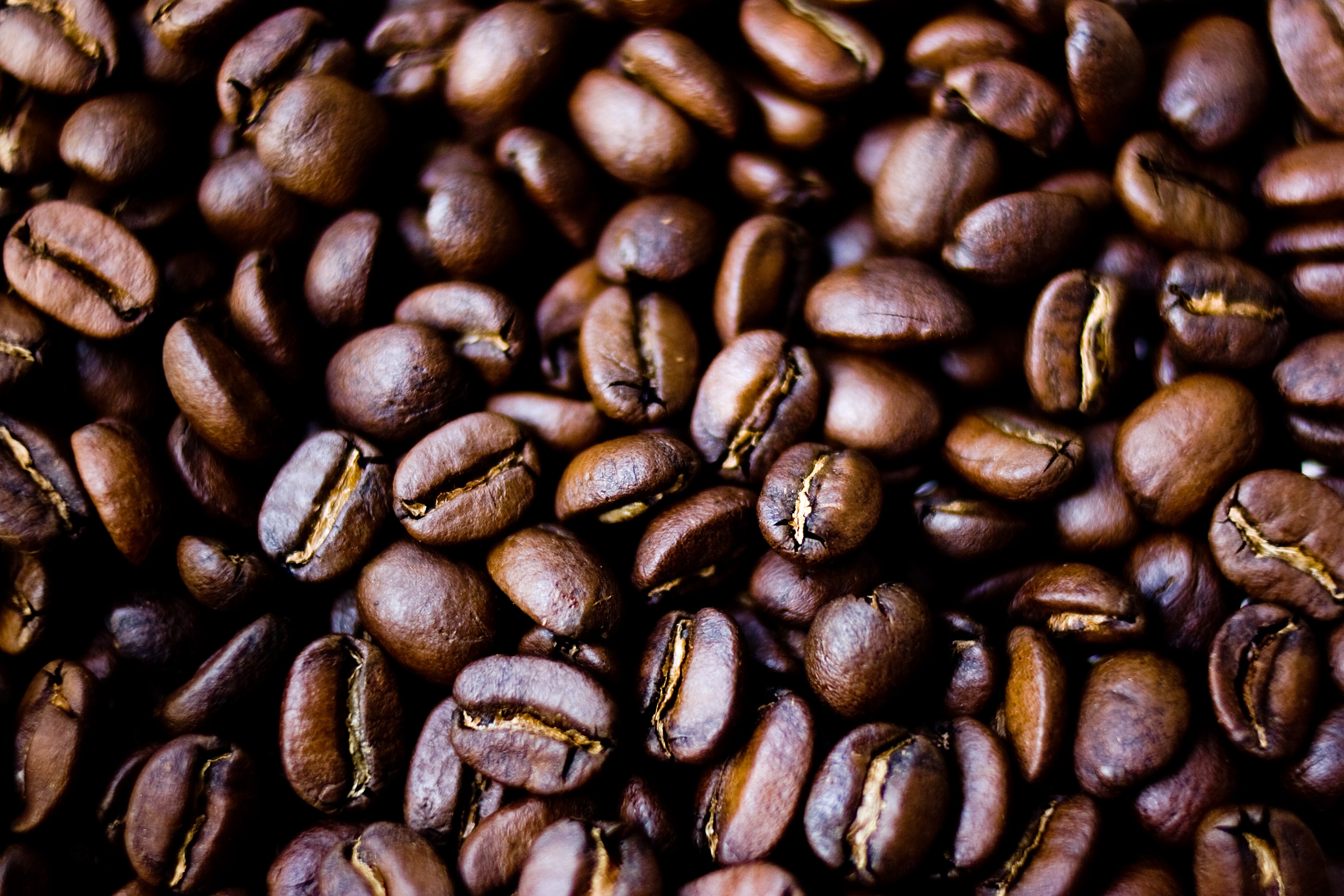 Detail Gambar Coffee Bean Nomer 9