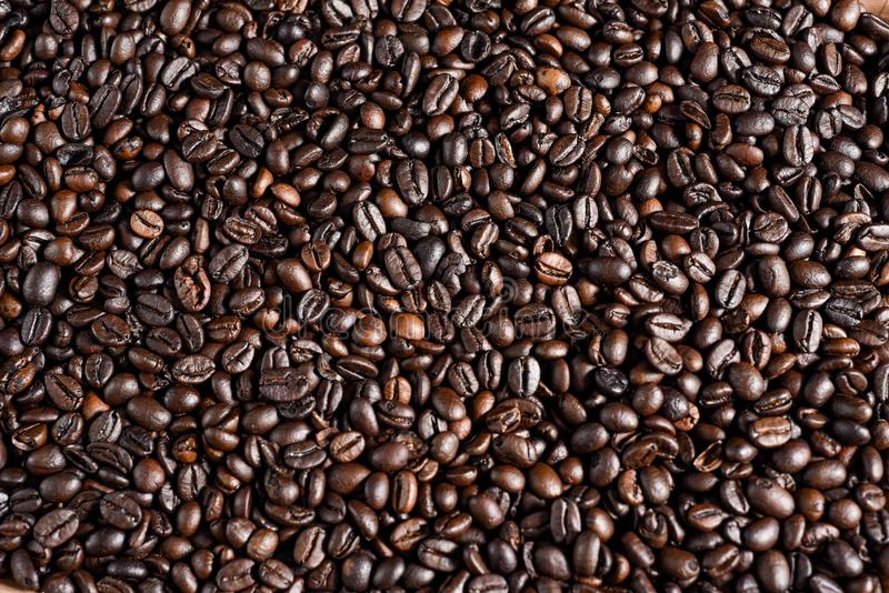 Detail Gambar Coffee Robusta Nomer 18