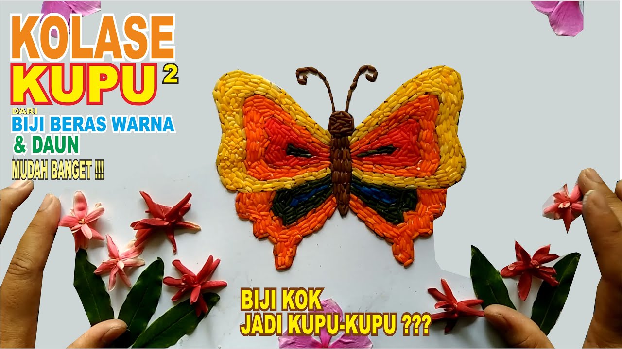 Detail Gambar Colase Kupu Kupu Nomer 42