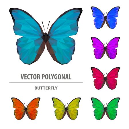 Detail Gambar Colourful Polygonal Nomer 53