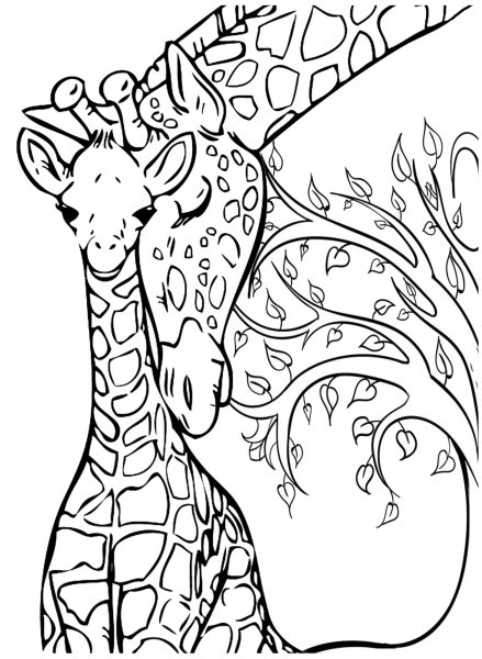 Detail Giraffe Bleistiftzeichnung Nomer 6