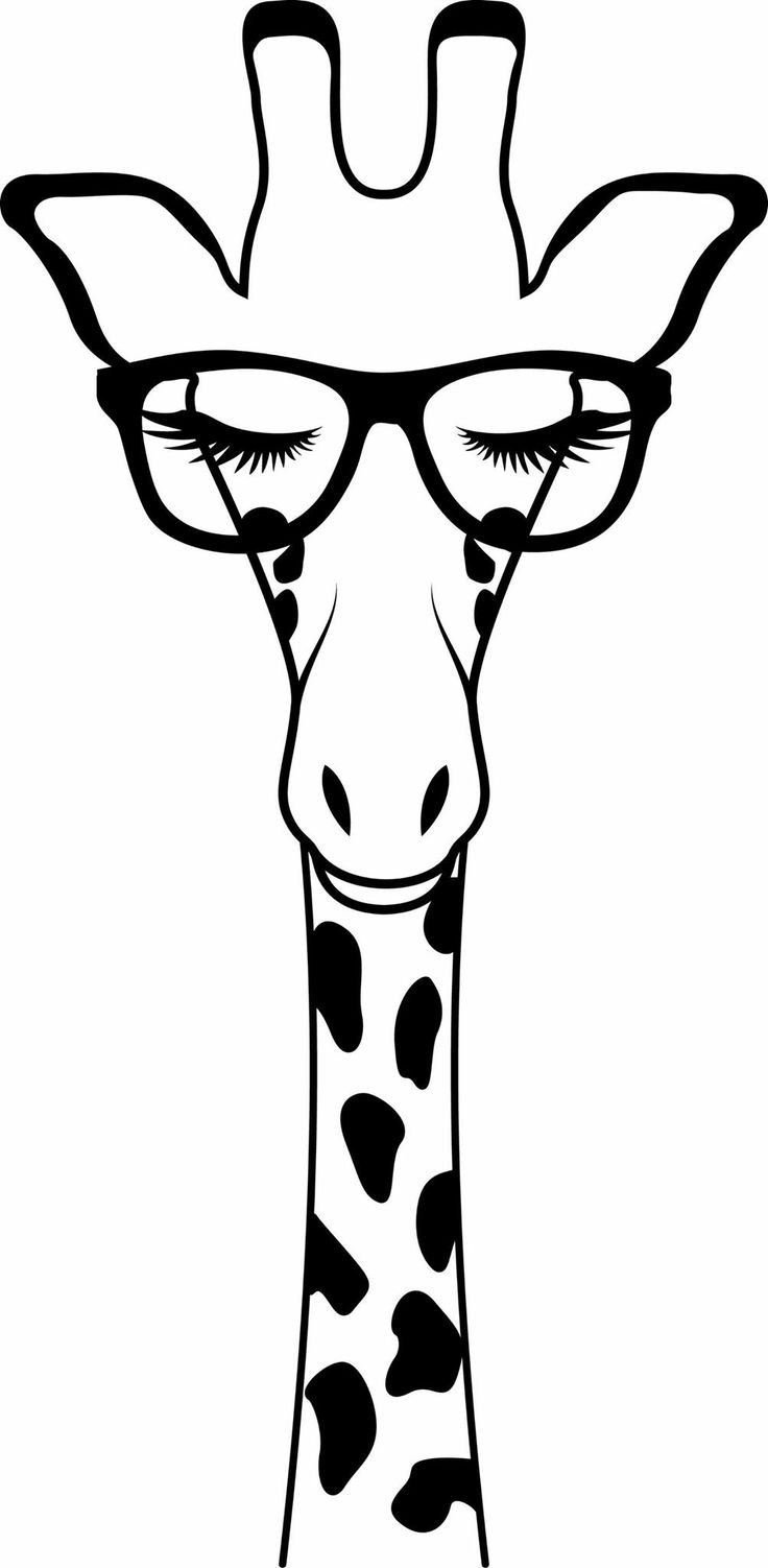 Detail Giraffe Bleistiftzeichnung Nomer 8