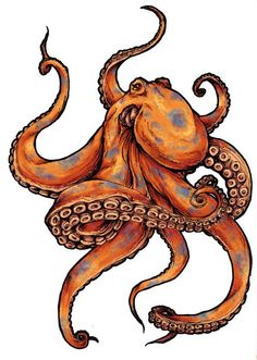 Detail Octopus Tattoo Vorlage Nomer 12