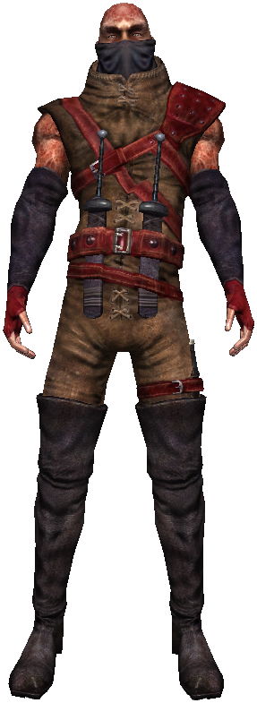 Detail Witcher Vivaldi Nomer 6
