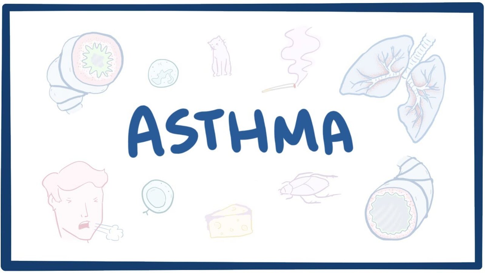 Detail Asthma Bronchiale Bilder Nomer 18