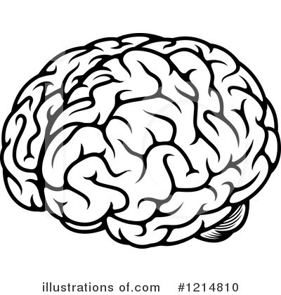 Detail Brain Clipart Nomer 12