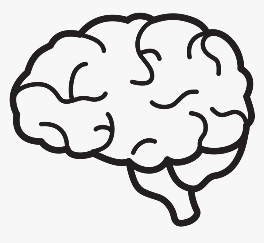 Detail Brain Clipart Nomer 3