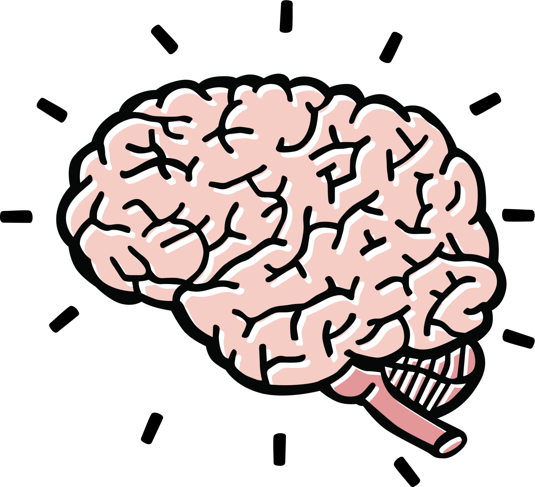 Detail Brain Clipart Nomer 4