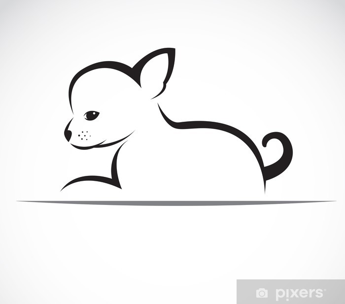 Chihuahua Skizze - KibrisPDR