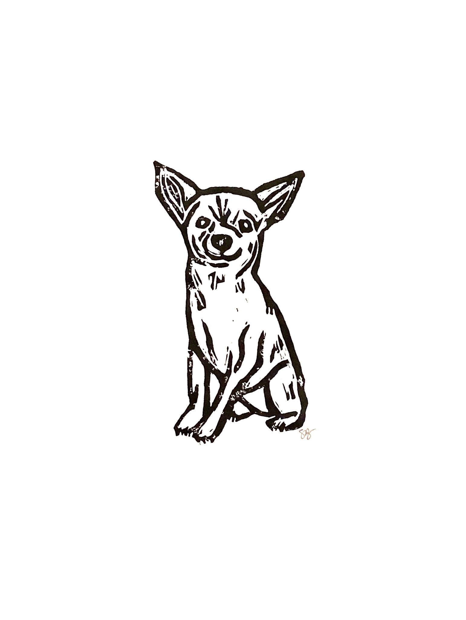 Detail Chihuahua Skizze Nomer 14