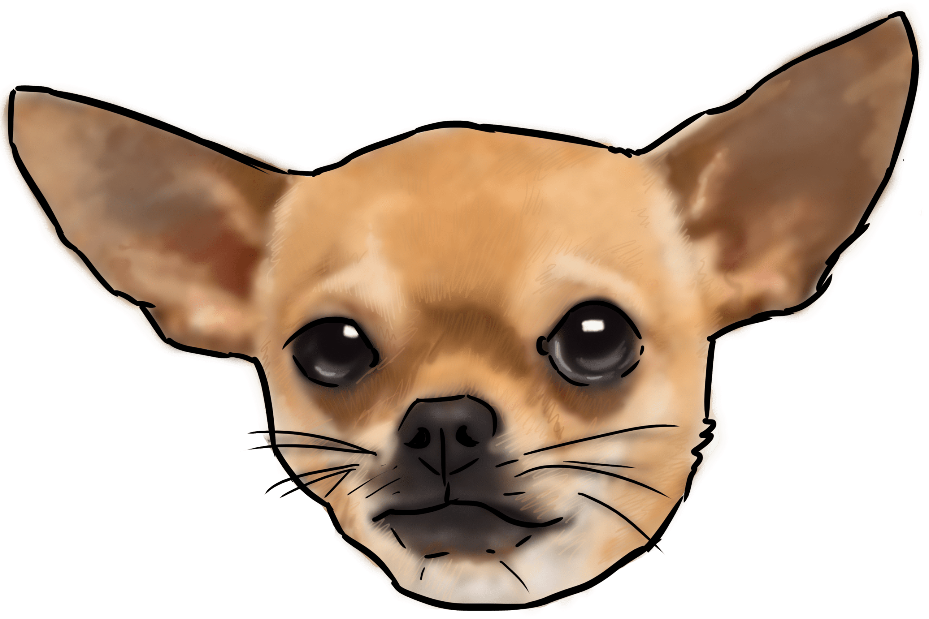 Detail Chihuahua Skizze Nomer 6