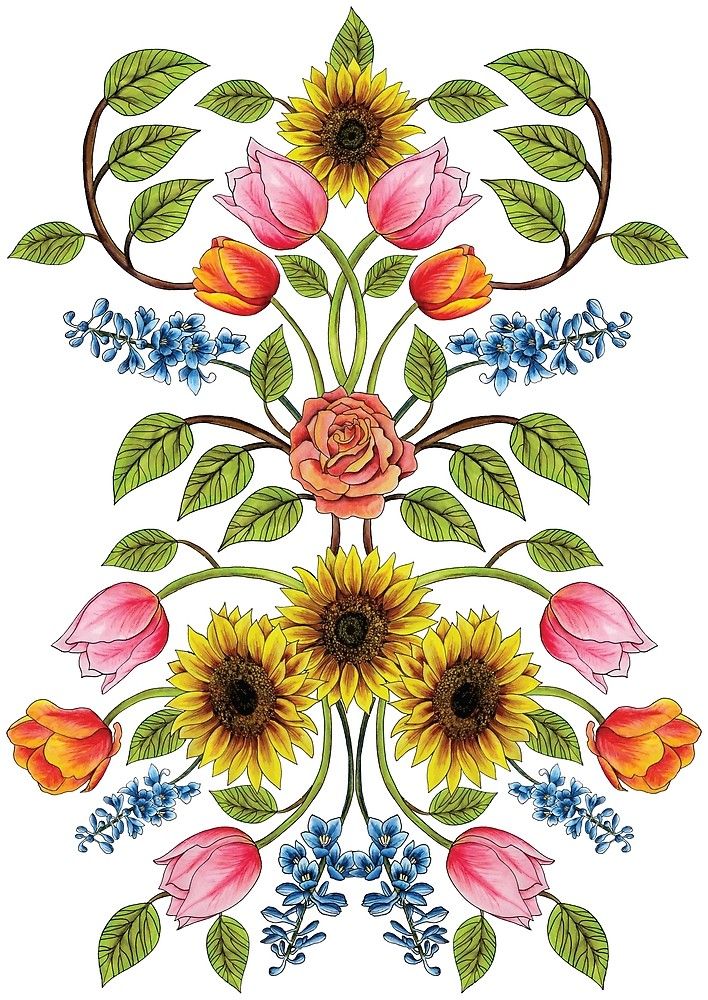 Detail Delphinium Drawing Nomer 9