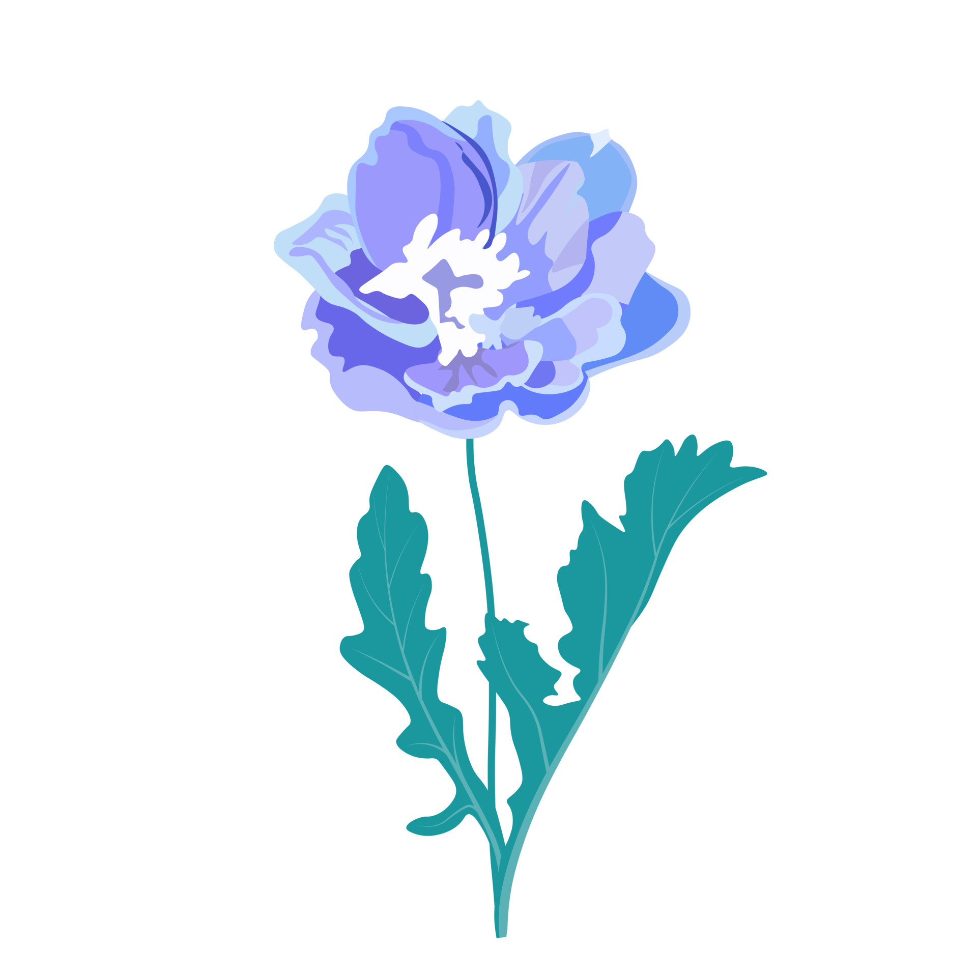Detail Delphinium Drawing Nomer 11