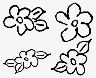 Detail Delphinium Drawing Nomer 19