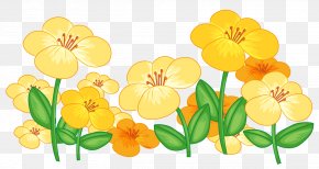 Detail Delphinium Drawing Nomer 23