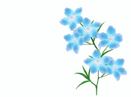 Detail Delphinium Drawing Nomer 4
