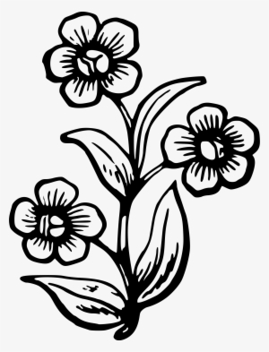 Detail Delphinium Drawing Nomer 7