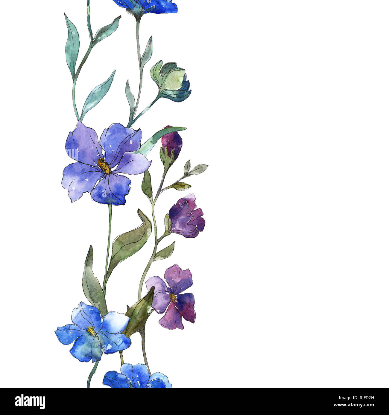 Detail Delphinium Drawing Nomer 8