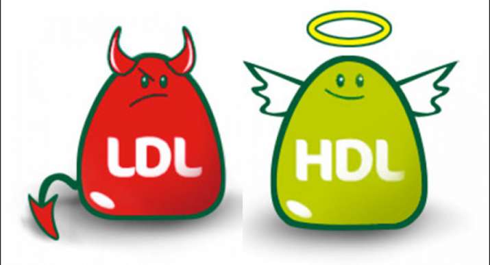 Hdl Bilder - KibrisPDR