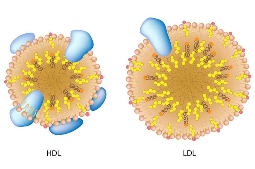 Detail Hdl Bilder Nomer 8