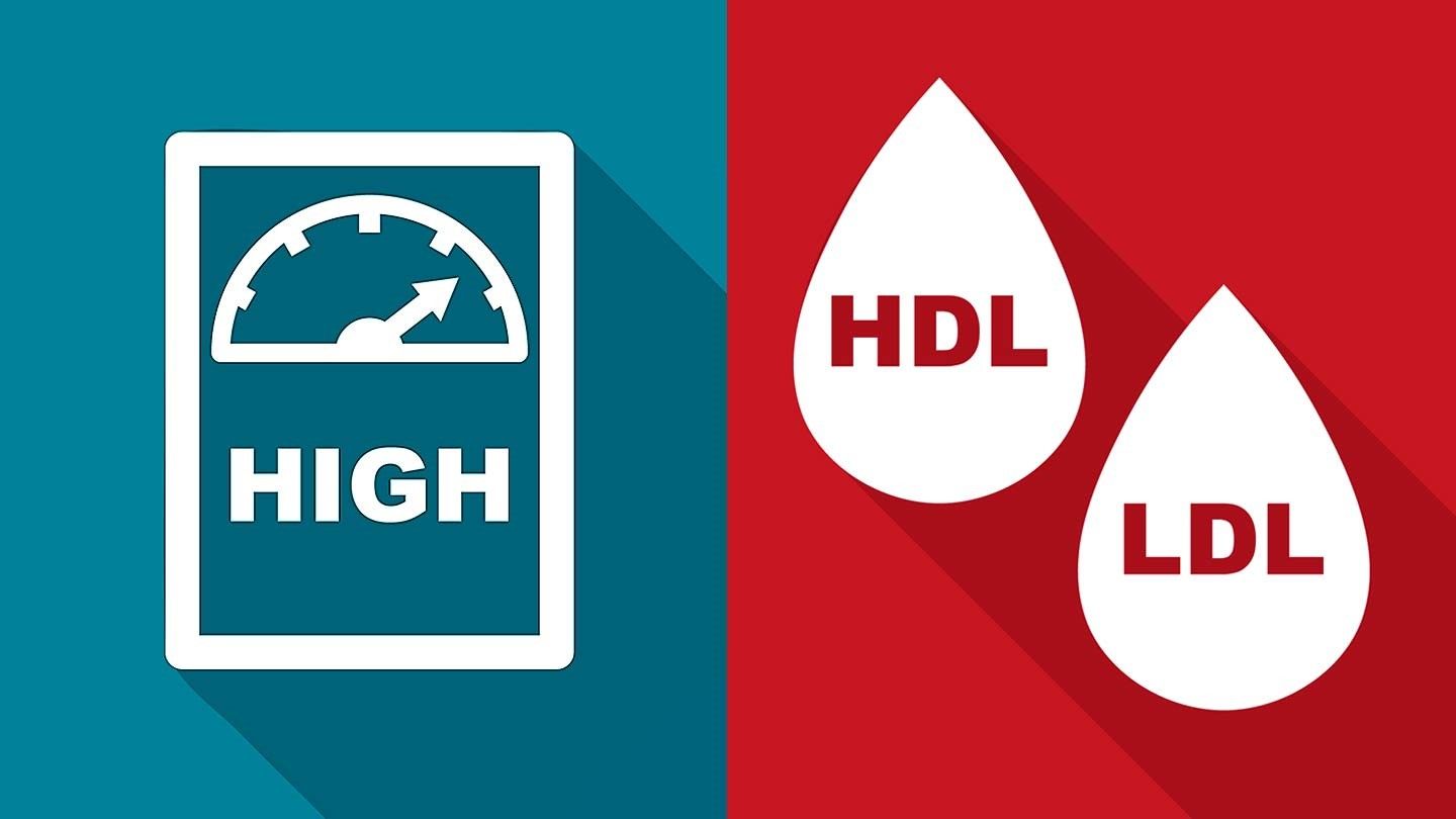 Detail Hdl Bilder Nomer 10