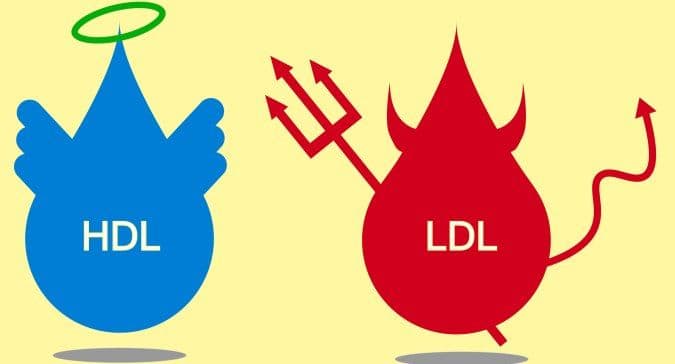 Detail Hdl Bilder Nomer 11