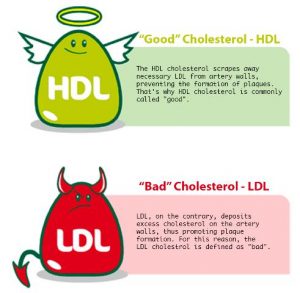 Detail Hdl Bilder Nomer 12