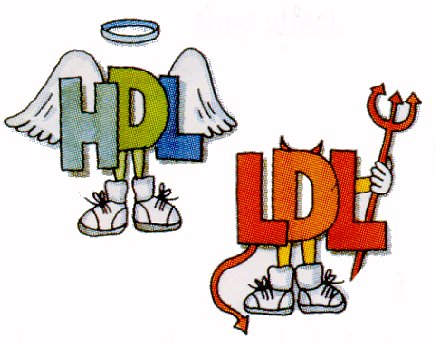 Detail Hdl Bilder Nomer 2