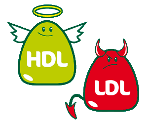 Detail Hdl Bilder Nomer 3