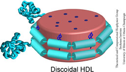 Detail Hdl Bilder Nomer 6