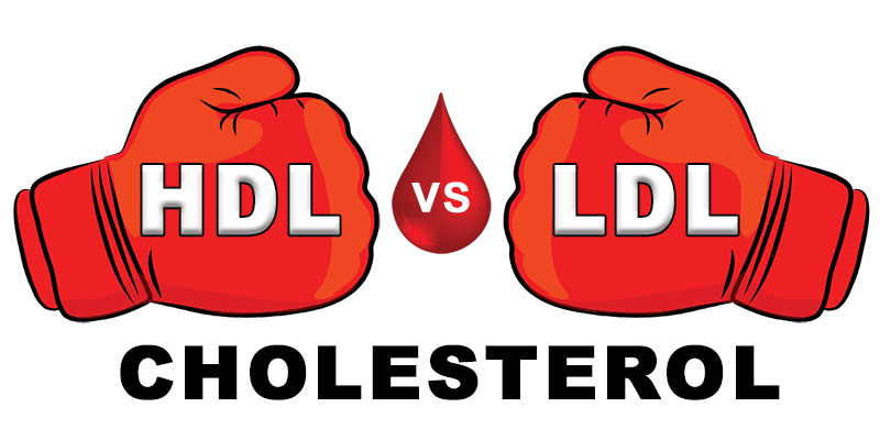Detail Hdl Bilder Nomer 7