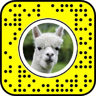 Snapchat Alpaca Filter - KibrisPDR