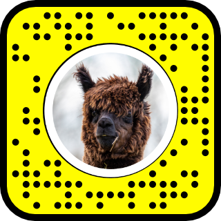 Detail Snapchat Alpaca Filter Nomer 13
