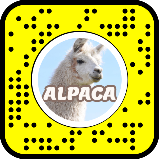 Detail Snapchat Alpaca Filter Nomer 3