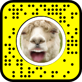 Detail Snapchat Alpaca Filter Nomer 5