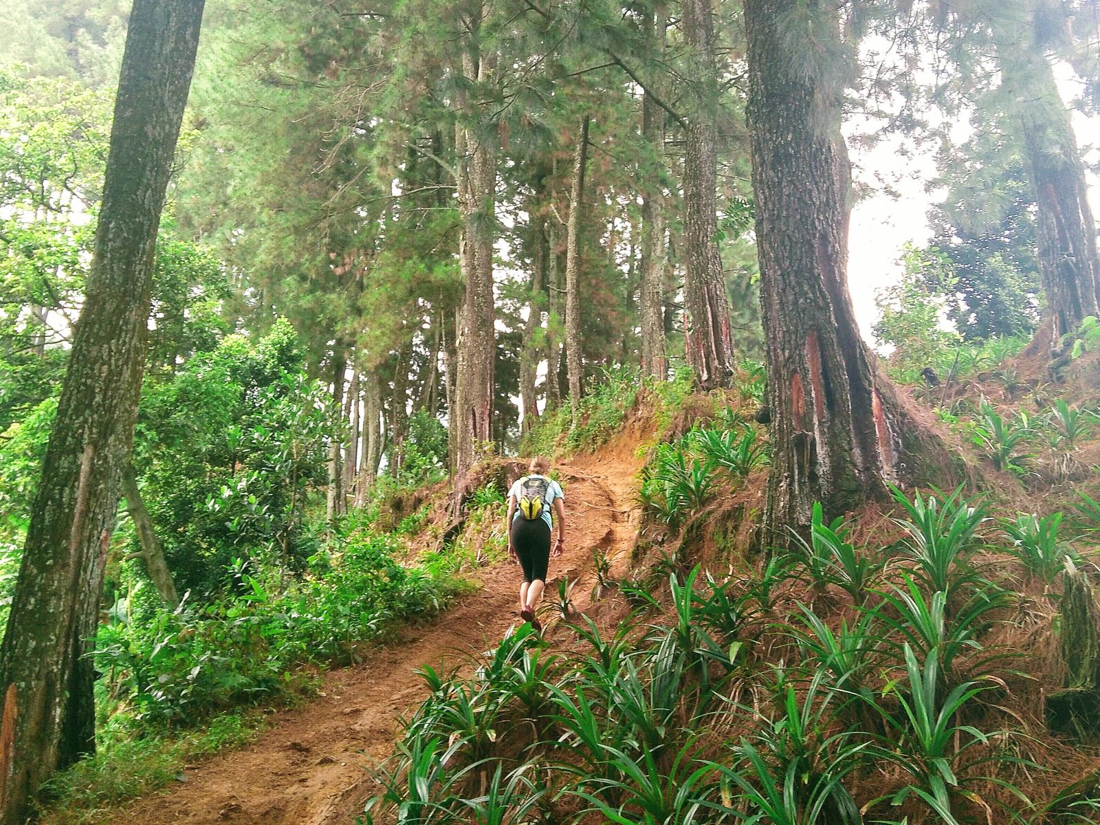 Detail Gambar Curug Kencana Di Sentul Nomer 20