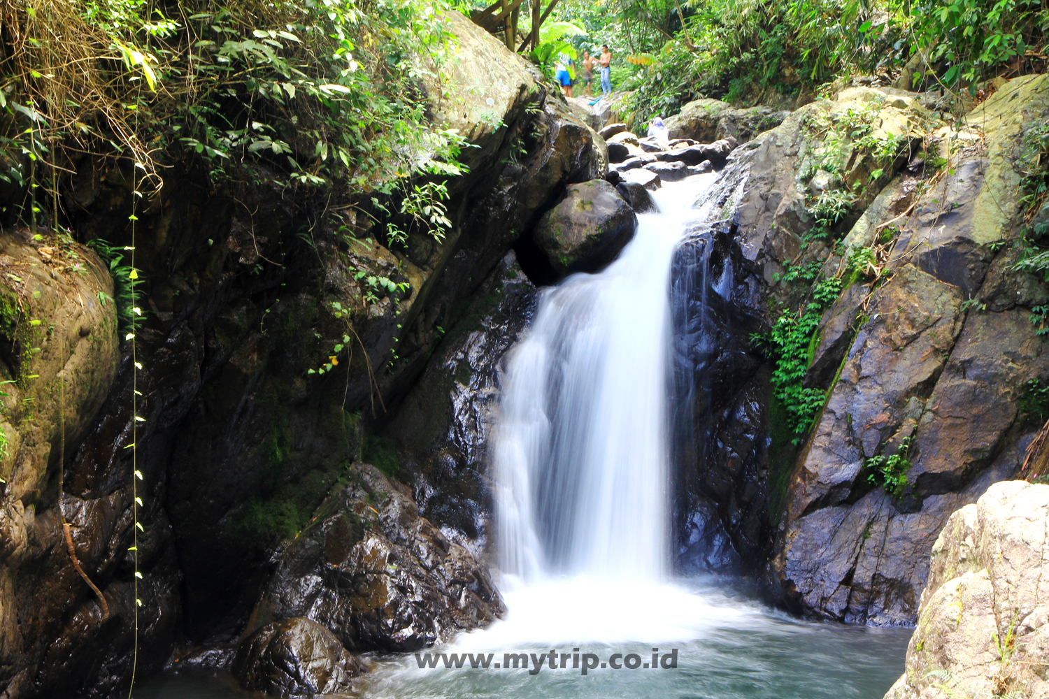 Detail Gambar Curug Kencana Di Sentul Nomer 51