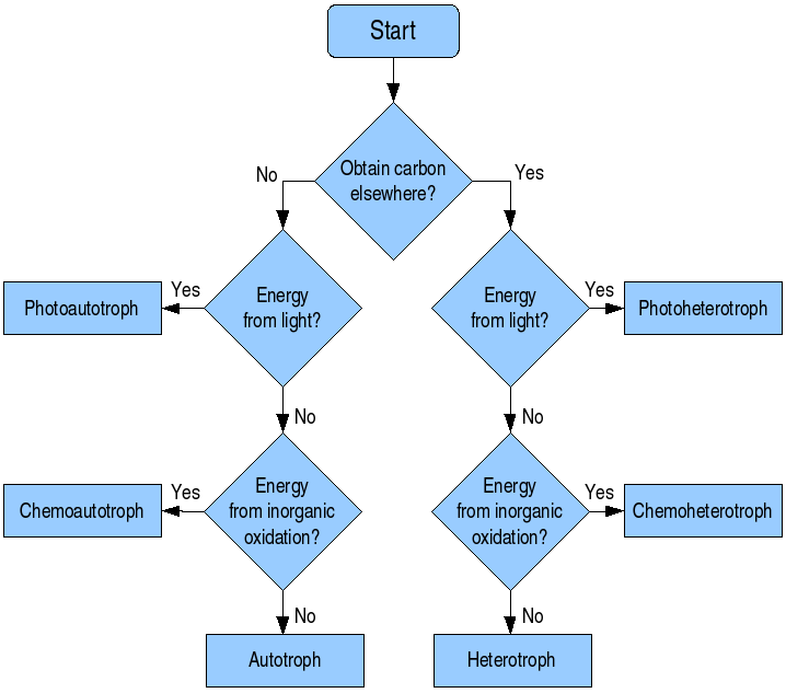 Detail Gambar Customer Pada Workflow Maksud Gambar Workflow Nomer 39