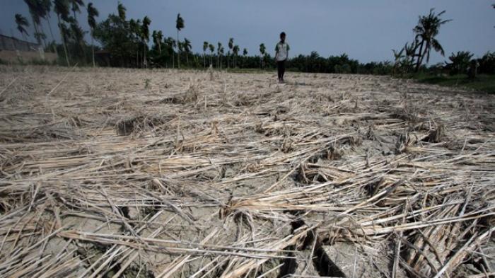 Gambar Daerah Lering Kurang Aor - KibrisPDR