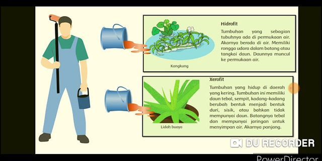 Detail Gambar Daerah Lering Kurang Aor Nomer 22