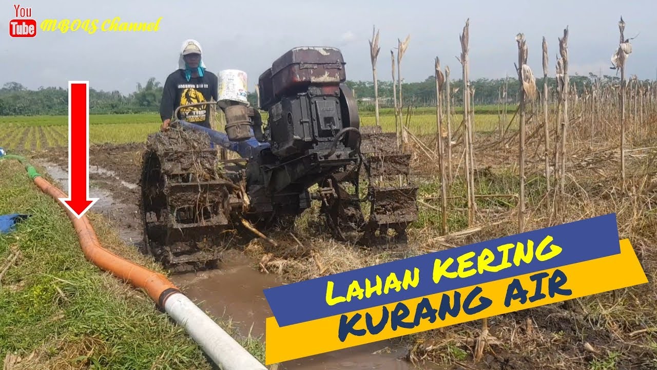 Detail Gambar Daerah Lering Kurang Aor Nomer 45