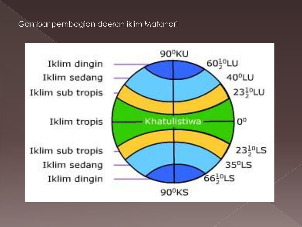 Detail Gambar Daerah Tropis Peta Daerah Iklim Sedang Nomer 33