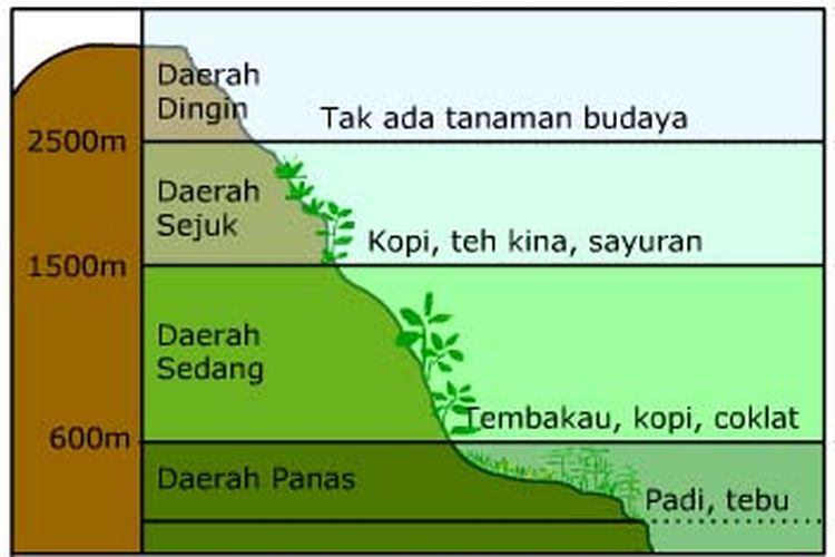 Detail Gambar Daerah Tropis Peta Daerah Iklim Sedang Nomer 49