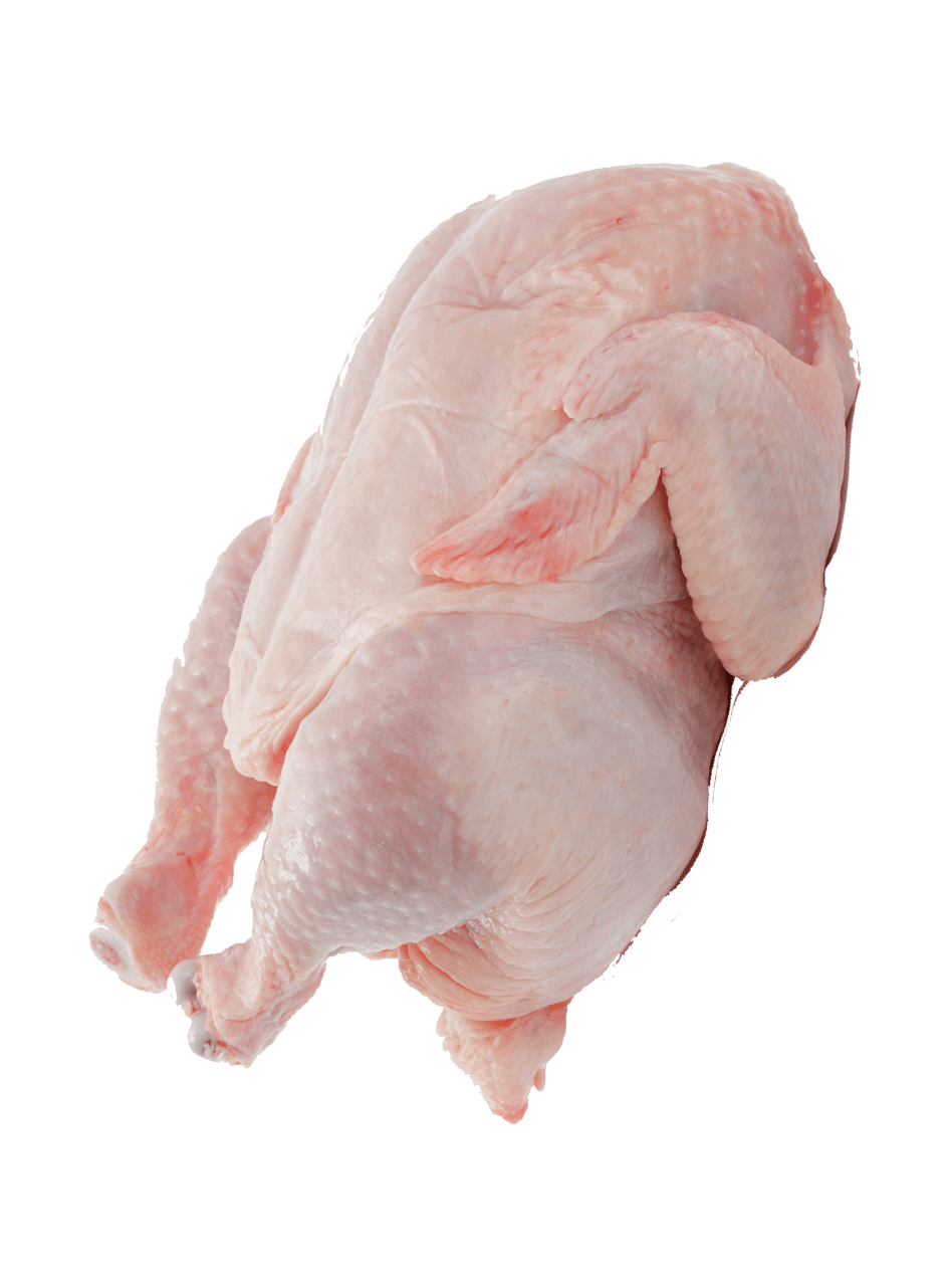 Detail Gambar Daging Ayam Nomer 29